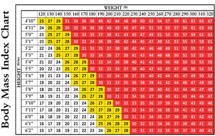 Body Mass Index Bmi Body Measurements